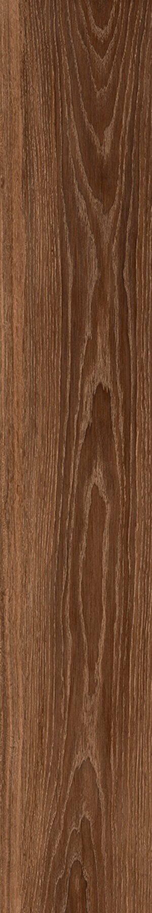 Woodbreak C. - Gresie porțelanată rectificată