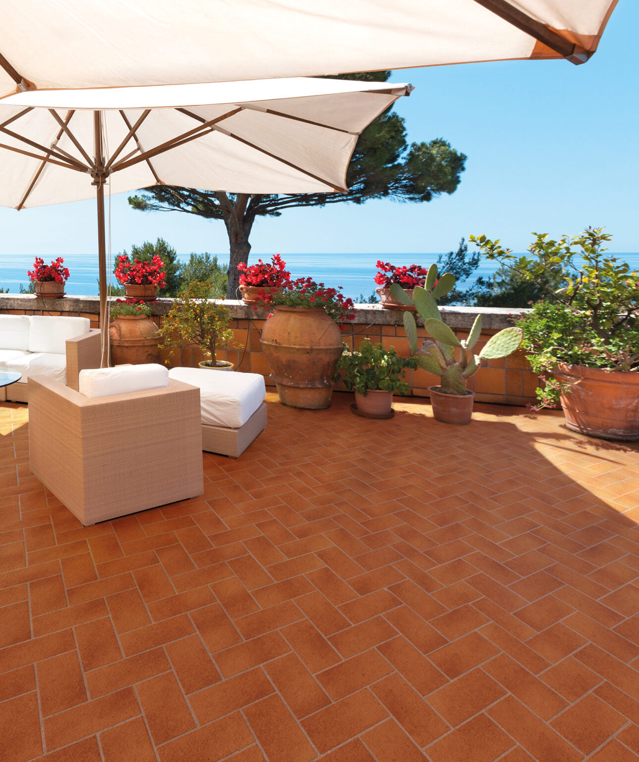 Gresie Terracotta