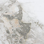 Gresie WHITE GOLD CARV,  rectificata, portelanata