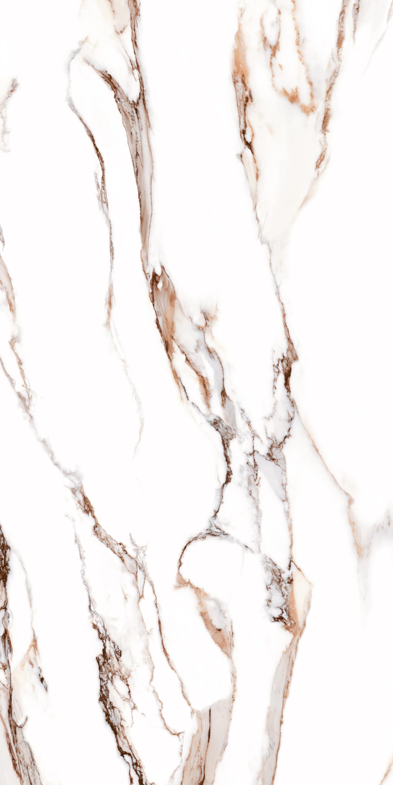 B WHITE Z, rectificata, portelanata