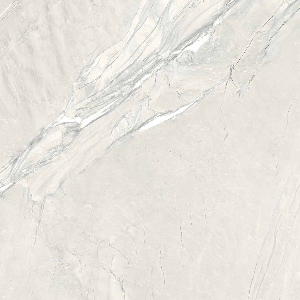 Cardosia W. -  Gresie porțelanată rectificată