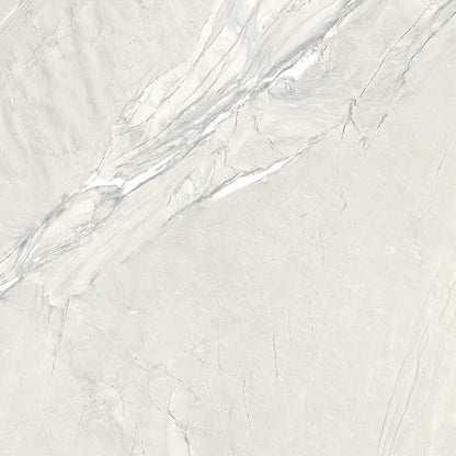 Cardosia W. -  Gresie porțelanată rectificată