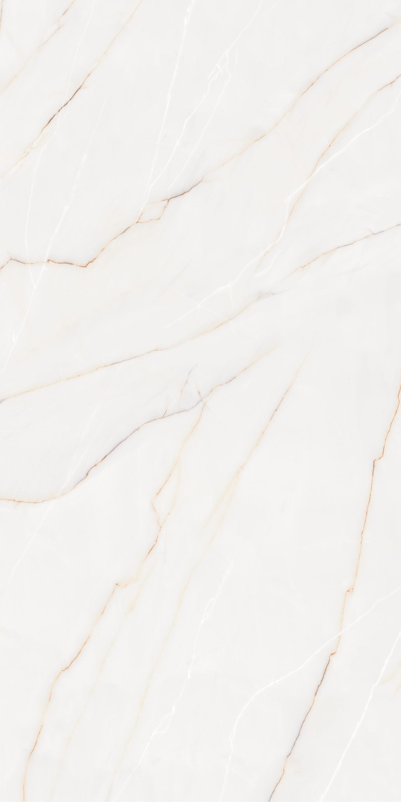 PEARL Z, rectificata, portelanata