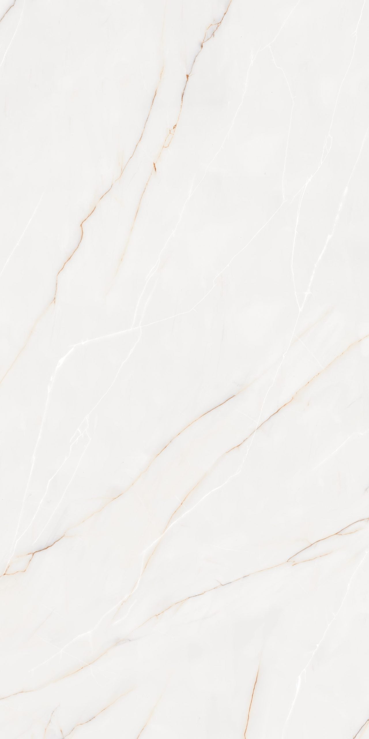 PEARL Z, rectificata, portelanata