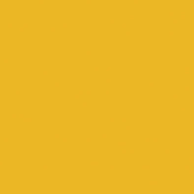 GIALLO Gresie culoare unică 20x20