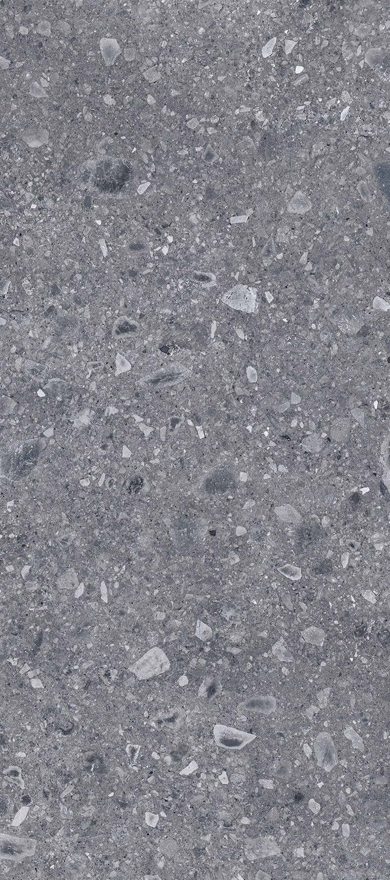 Ceppo Antrachite -  Gresie porțelanată rectificată