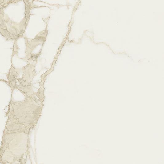 FORTE S.  -  Gresie porțelanată rectificată